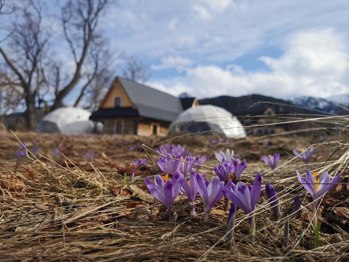 Готель Glamp Siedlisko Косьцелісько Екстер'єр фото